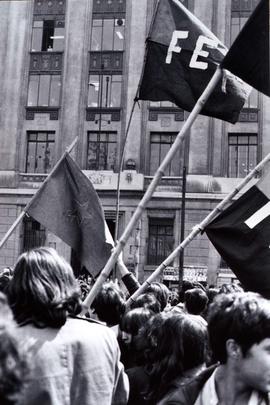 Fotografía bandera del FER