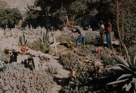 Fotografía excavaciones en cementerio