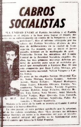 Cabros socialistas